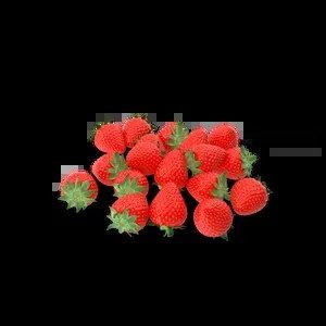 Мягкая игрушка ProLine белый B107