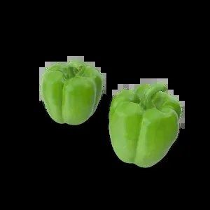 Гамак тканевый Terra синий K170